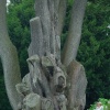 Escape for a day out at Nymans Garden, Handcross, West Sussex