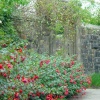 Escape for a day out at Nymans Garden in Handcross, West Sussex