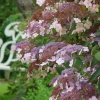 Escape for a day out at Nymans Garden, Handcross, West Sussex