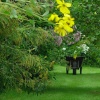 Escape for a day out at Nymans Garden, Handcross, West Sussex