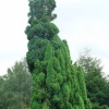 Escape for a day out at Nymans Garden, Handcross, West Sussex