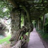 Escape for a day out at Nymans Garden in Handcross, West Sussex