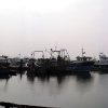 The fishing fleet, Poole