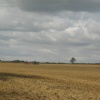 Harvest time, Yielden