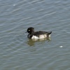 Waters Edge Country Park