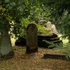 Gravestones, Aynho churchyard, Northants