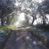 Cockley Cley Road, Norfolk