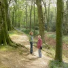 Walk in the woods