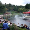 Naval Warfare, at Peasholm Park.