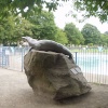 Billy the Seal