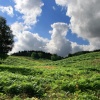 Hills near Seven Springs, Cannock Chase