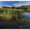 Bassenthwaite lake view