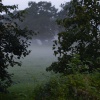 Mist