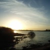 Pitsford Water, Northampton, Northamptonshire