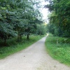 Whitwell Woods