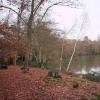 Autumn at Slaugham in West Sussex