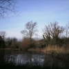 Mill Lake at Woods Mill Nature Reserve