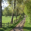 Country lane outside Melton Mowbray, Leicestershire