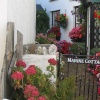 In the village, Combe Martin, Devon