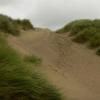 Footsteps in the Dunes
