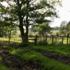 Farmland near How Green, Kent