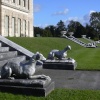 Greyhounds, Brodsworth Hall, South Yorkshire
