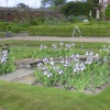 Formal gardens at Doddington Hall, Lincolnshire