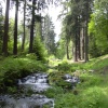 Cragside gardens in Rothbury, Northumberland