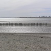 View across the entrance to Chichester Harbour from East Head