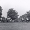 A Day At The Races