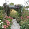 In the Gardens at RHS Garden Rosemoor, Great Torrington, Devon