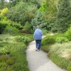 Winter Garden at RHS Garden Rosemoor, Great Torrington, Devon