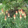 A nice sight at RHS Garden Rosemoor, Great Torrington, Devon