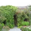 RHS Garden Rosemoor, Great Torrington, Devon