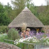 What characters! RHS Garden Rosemoor, Great Torrington, Devon