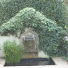 Interesting Water feature, RHS Garden Rosemoor, Great Torrington, Devon