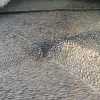 Interesting design, Clovelly, Devon