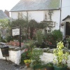 Lovely shop! Clovelly, Devon