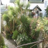 Cottage and garden in Clovelly, Devon