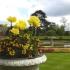 Urn in the Italian Garden at Belton House, Belton, Lincolnshire