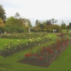 Rose garden and House, Kedleston Hall, Derbyshire
