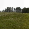 Panorama of the burial mounds, Sutton Hoo, Woodbridge, Suffolk