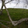Burial mounds, Sutton Hoo, Woodbridge, Suffolk