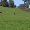 In the village of Calver, Derbyshire
