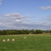 Farming at Thorpe Salvin, South Yorkshire