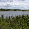 Carr Vale Nature Reserve, Derbyshire