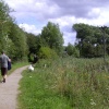 Carr Vale Nature Reserve, Derbyshire