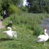 Carr Vale Nature Reserve, Derbyshire
