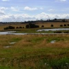 Carr Vale Nature Reserve, Derbyshire