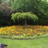 Barham Park, Wembley, Greater London